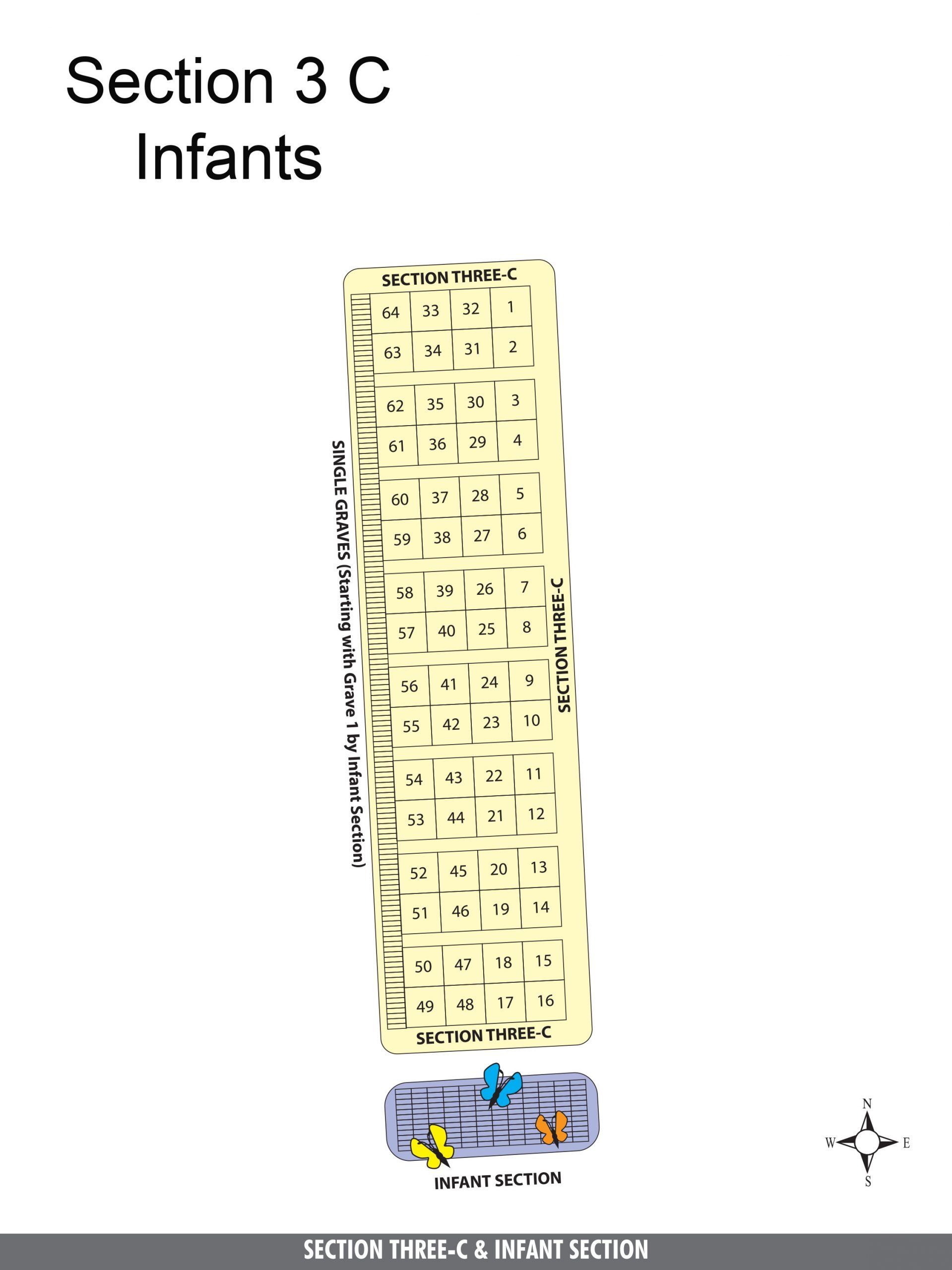 Section 3C - Infants