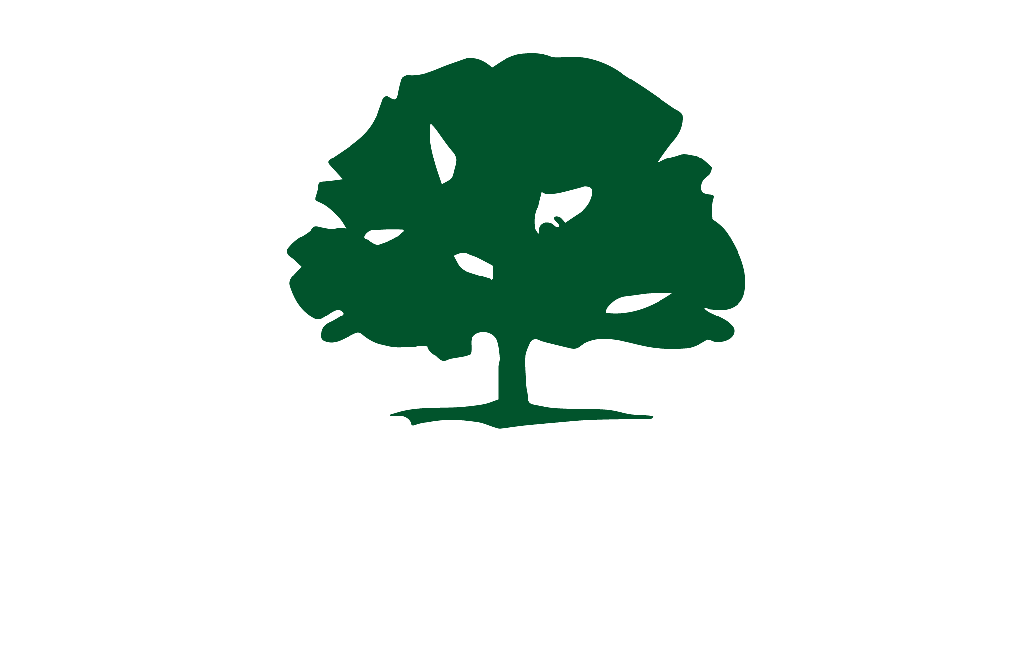 white BG UT Full Logo