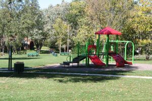 Mt Carmel Park Playground